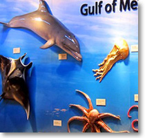 Gulf Coast Visitor's Center