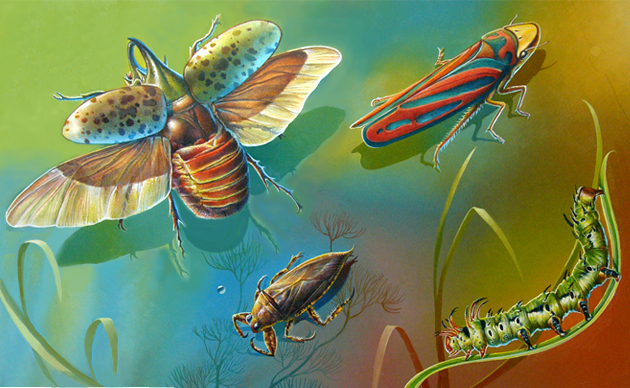 HyneStudio :: Award-Winning Nature Illustration :: Editorial